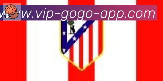 GOGO体育官网合作伙伴